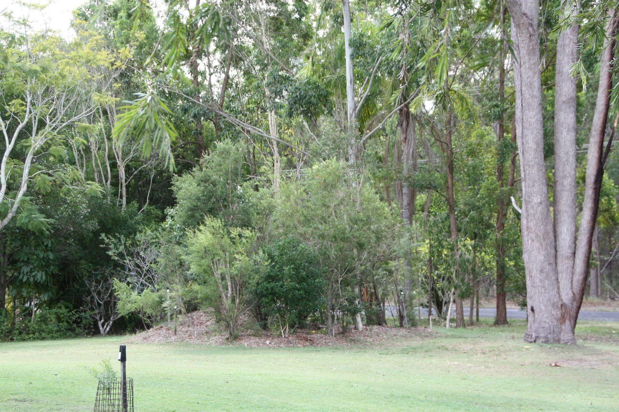 Bottlebrush B & B Maryborough Bagian luar foto